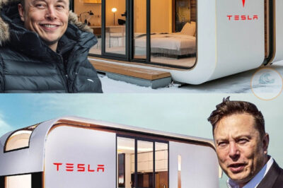 Tesla 2025 Tiny House for UNDER $6,999: Elon Musk Announces The Game-Changing for the Masses!