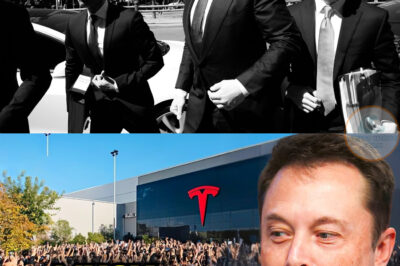 Top 5 STATES Collapsing Fast as Elon Musk’s Empire Crashes – Tesla & Twitter X Employees Panic