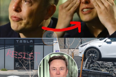 Elon Musk Crying Hard – LEAKED, NEW FOOTAGE! EMPIRE FALLS! Nothing left but ashes… /dn