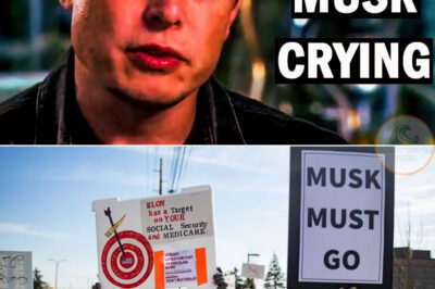 WHY IS ELON MUSK FACING A MASSIVE BOYCOTT? BILLIONAIRE UNDER FIR3!