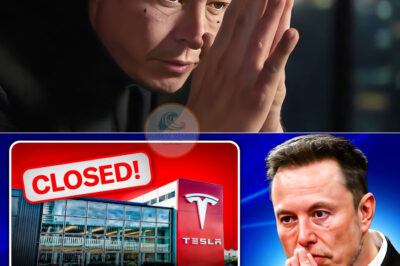 Elon Musk Drops Shocking Bombshell About Tesla’s Future—‘We’re Doomed, We Can’t Survive,’ He Warns, Sparking Panic Among Investors and Fueling Wild Rumors About a Secret Collapse Behind the Scenes