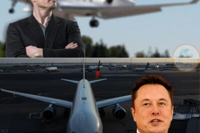 It has been rumored that Elon Musk intends to establish a private airport close to Austin, Texas. Let us examine the entrepreneur’s future plans.