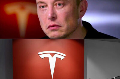 BREAKING: Top Tesla investor Just officially asked Elon Musk to step down as head of the company for destroying the electric vehicle maker’s reputation