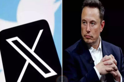 The world owes Elon Musk an apology: X is revalued at over $44 billion, about to pay off debt, reports $1.2 billion in profit, creating an unimaginable miracle