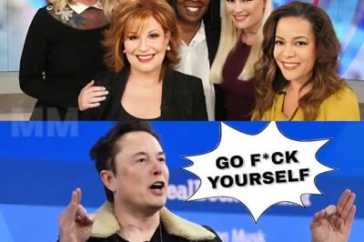 Elon Musk called for a boycott of The View, calling it a “meeting place for stupid women.” The entire cast immediately responded angrily. /d