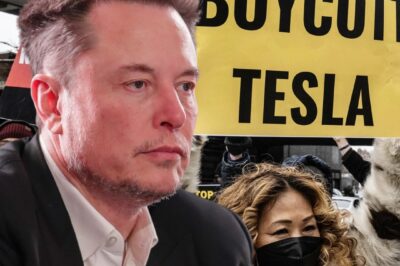Investors Laugh at Elon Musk’s Misfortune, Earning Billions as Tesla Empire Collapses /dn