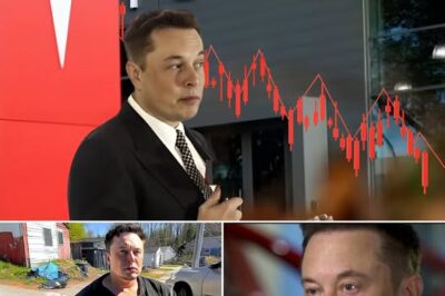 Tesla Collapses, Twitter in Chaos, and Now $144 Billion Disappeared: Can Elon Musk Stand Up After This Financial Nightmare? /d