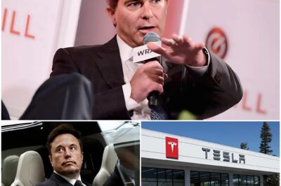 SHOCKING: Top Tesla investor Ross Gerber calls for Elon Musk to step down after a $800,000,000,000 trillion stock drop /dn