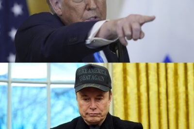 BREAKING NEWS: Elon Musk Breaks Into Oval Office To Demand DOGE Recognition – Donald Trump Shocks With Shady Proposal About Gaza/hi