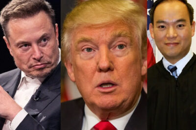 SHOCKING VERDICT: DONALD TRUMP and ELON MUSK suffered a heavy defeat in the DOGE case…a verdict that the world did not expect/hi
