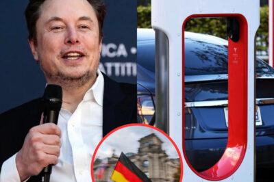 3 MINUTES AGO: GERMANY makes bold decision to shut down Tesla and the US auto industry – Elon Musk responds with a shocking message of only 7 words, revealing a hidden truth that has shocked the world./hi