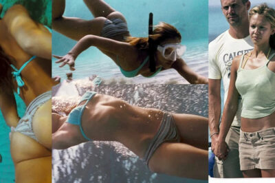 Jessica Alba’s Hot Movies of the Year Not to Be Missed/hi