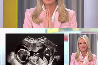 Fox News host Kayleigh McEnany stops show to announce she’s pregnant live on air, confusing viewers..baby’s gender also revealed/hi