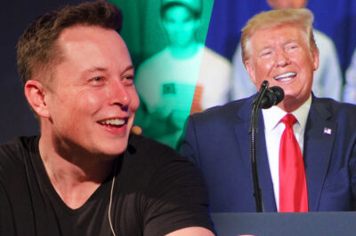 “Give me $100 Million or $50 Million”: After Elon Musk’s DOGE Saves $105 Billion, Will Donald Trump Consider Hollywood Director’s Request?/hi