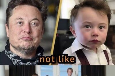 Everything You Want To Know About Elon Musk’s 12 Children & 3 Partners /dn