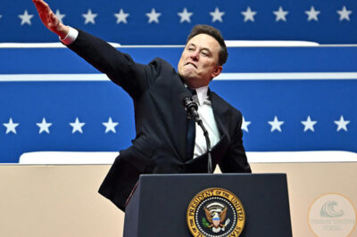 Revealing the future role of billionaire Elon Musk in the US government /dn