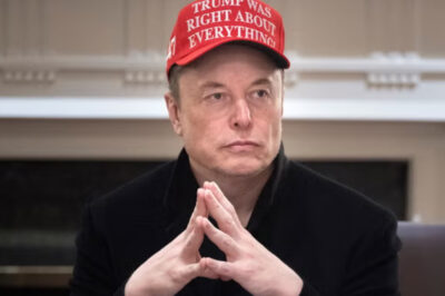 Elon Musk considers leaving US government amid harsh criticism from the left /dn