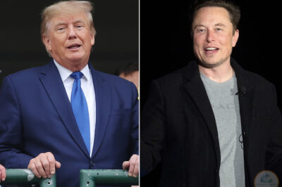 HOT NEWS: The first cracks in the close relationship between Mr. Trump and billionaire Elon Musk /dn