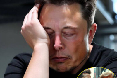 Elon Musk’s Dark Days: Just After Trump Turned His Back On Him, He Got Another “Cold Water Poured On” /dn