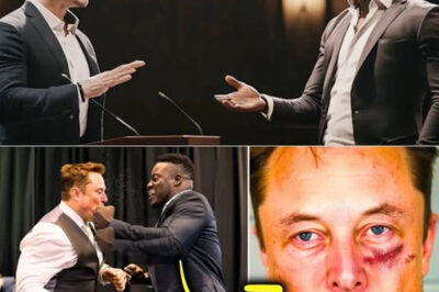 SHOCK!!! A Black man pushed Elon Musk down at a scientific meeting simply for saying this /dn