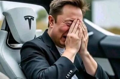 Billionaire Elon Musk lost nearly 135 billion USD /dn