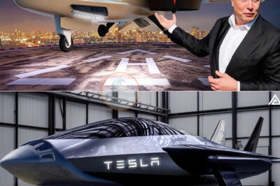 Elon Musk’s New Electric Plane $99,999 Shocks The Entire Industry. Everything You Need To Know Here /dn