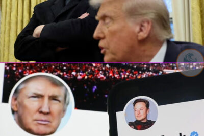 BREAKING NEWS: Elon Musk’s future after leaving government in the next few months /dn