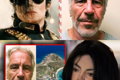 Why Did Michael Jackson Appear in Epstein’s Files? The Truth Surprises Many People!/dn
