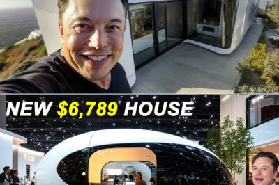 Tesla 2025 Tiny House for Under $6,999: Elon Musk Unveils a Game-Changer for the Masses! /dn