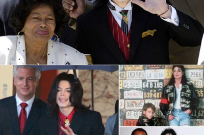 “They Lied”: Michael Jackson’s Former Attorney Drops Bombshell Response to Leaving Neverland /dn