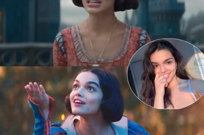 Why Is Rachel Zegler Getting All the Blame When She Delivered the Best Performance in Snow White? /dn