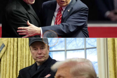 HOT: Trump confirms the end of billionaire Elon Musk in the US government /dn
