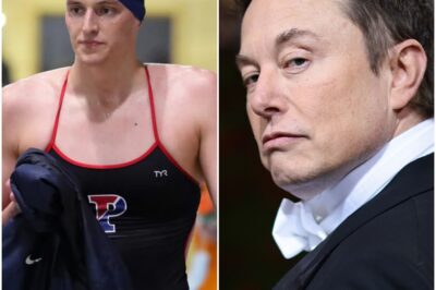 BREAKING: Fans Are in Big Debate Over Elon Musk’s Statement: “If Banning Transgender Sports Is Considered Sexist, Then Call Me Sexist. Men Should Not Participate in Women’s Sports!” /dn