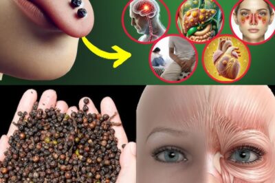 9 POWERFUL Health Benefits Of CHEWING Black Pepper BEFORE Bed (90% People Don’t Know This)