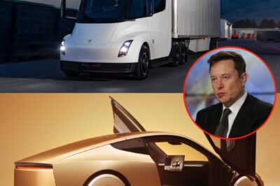 Tesla’s Dreams Crushed by Tariff Tsunami: Cybercab Soars from $30,000 to $300,000, Semi Hits $1,000,000 /dn