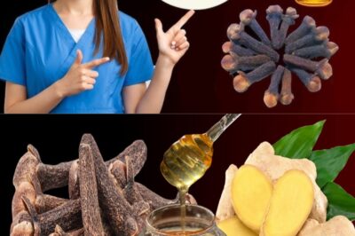 18 Benefits: Mix Ginger with Cloves and Honey, You’ll Thank Me for the Recipe!