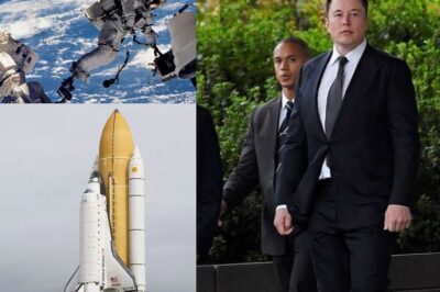 Elon Musk – Passionate Journey From South Africa To Mars /dn