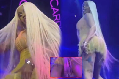 Fans Blush as Cardi B Performs with Her Inner DRAWINGS Spinning Like Helicopter Blades: Is It Because Her Cat Is So Small?/hi
