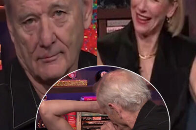 OMG! : Bill Murray grabs Naomi Watts and kisses her on the mouth in shocking ‘WWHL’ moment (video)/hi