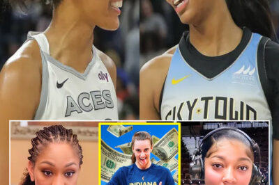 Angel Reese and A’ja Wilson reacted to Caitlin Clark’s record-breaking impact on the WNBA. They said something that angered fans./hi
