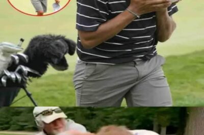 ” I WANT TO WIN ” Charlie Woods Cries After Being Disqualified From The Players Championship 2025 As He Got Into A Brutal Brawl With A Golf Referee /dn
