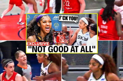 “SHE LOST IT ON LIVE TV!” — Angel Reese Explodes After Caitlin Clark’s Brutal Flagrant Foul Sparks Wild WNBA Altercation /dn
