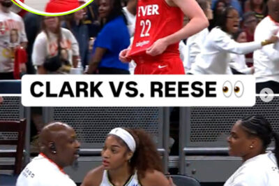 BREAKING: Chicago Sky superstar Angel Reese SHOCKED social media with an interesting 8-word message about Caitlin Clark’s dirty and violent foul on her in the season opener that nearly led to a brawl: “She’s just trying to get attention for endorsements.” /dn
