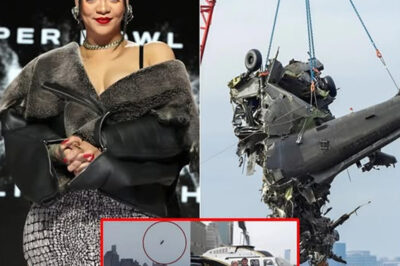 The v!ct!ms of the helicopter cr@sh on the Hudson River have been identified, half of them were children. It’s even more heartbreaking as Rihanna confirms that one of them has been identified as… . /dn