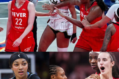WATCH NOW : Angel Reese Fires Back at Caitlin Clark Over Heated On-Court Exchange/hi
