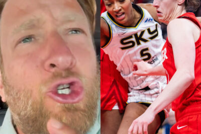 Dave Portnoy has a “thank you” for Angel Reese after her attempt to fight Caitlin Clark on the court in the Fever’s win earned him a huge amount of money, watch and you will be amazed and../hi