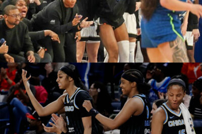 SHOCK: Chicago Sky players cause uproar by walking off the court before the US national anthem before their WNBA season opener against the Indiana Fever.WNBA bosses have made a decision…/hi