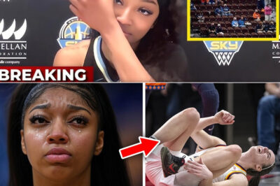 Angel Reese’s Outburst as Chicago Sky Ticket Prices Crash Without Caitlin Clark…/dn