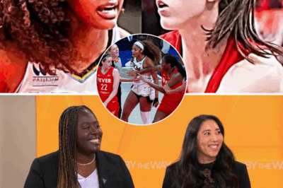 The WNBA Faces Backlash Over Alleged Racial Remark and Treatment of Caitlin Clark