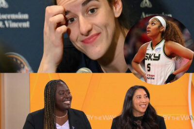 The WNBA Faces Backlash Over Alleged Racial Remark and Treatment of Caitlin Clark /hi